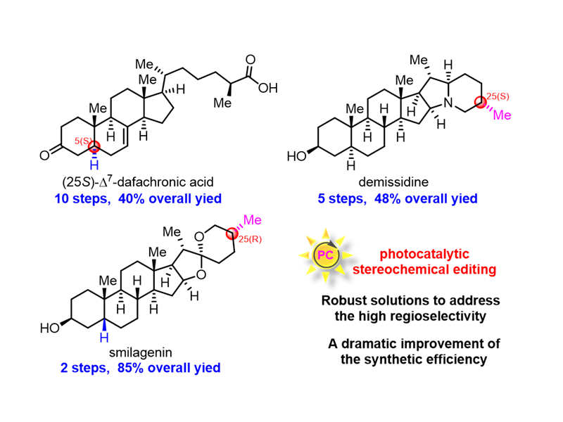 上海交大吴晶晶团队通过光催化立体化学编辑策略实现多个甾体天然产物高效合成
