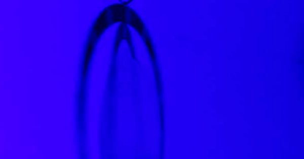 NEM1_20181123_C0323439678_A1397823.gif