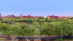20190401_122839_304.gif