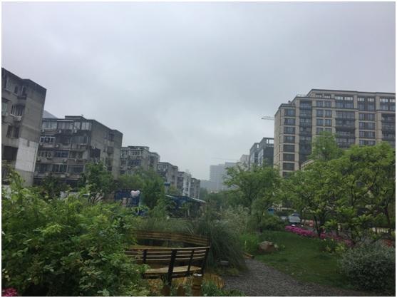 20190501_041829_753.jpg