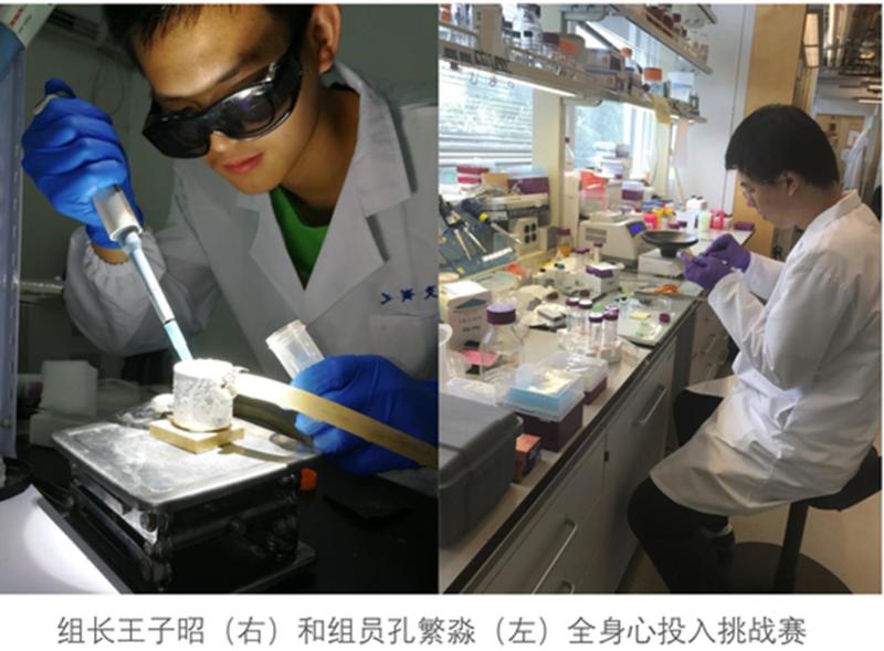 a87dba8e-55f4-408c-b95a-4535b894afa9.jpg