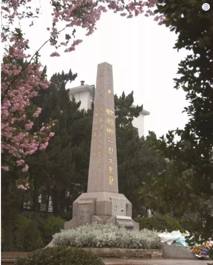 20190520_134533_343.png