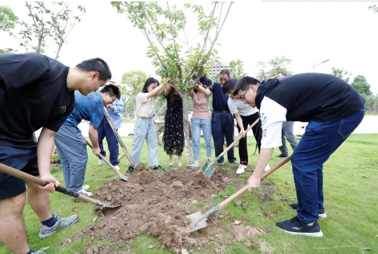 微信图片_20190630220005.png