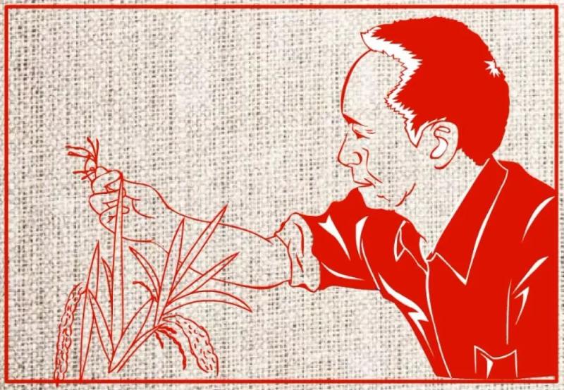 袁隆平.jpg