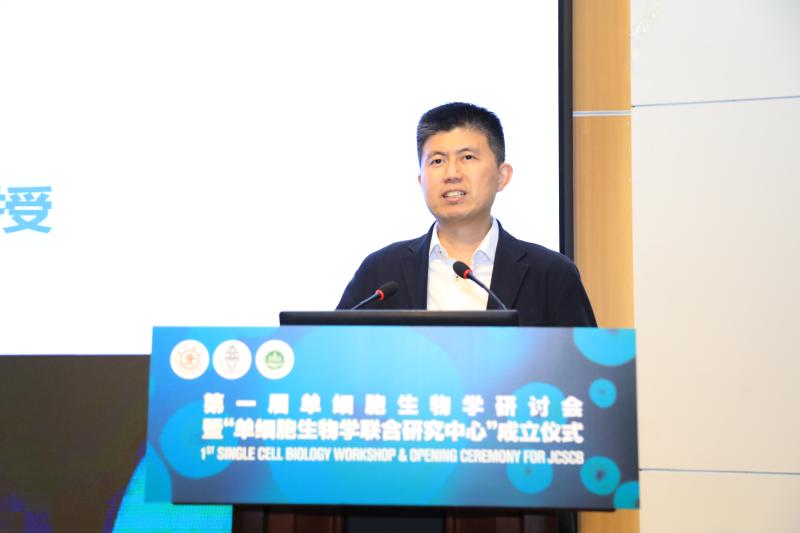 图5 荷兰拉德堡德大学代表须健致辞.JPG