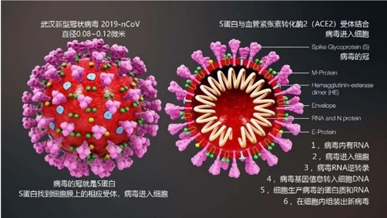 网络来源1.png