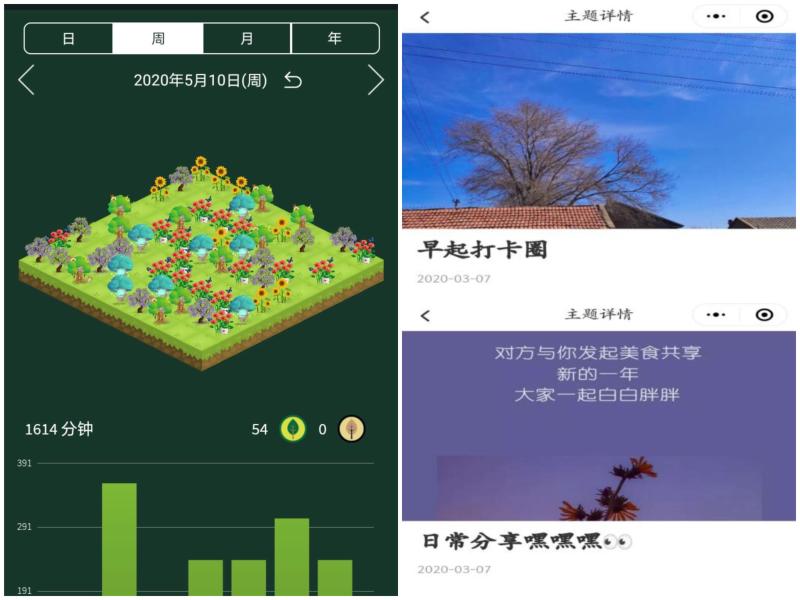 系列打卡.jpg