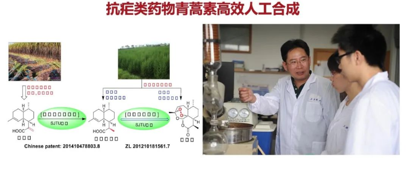 图片 9.png