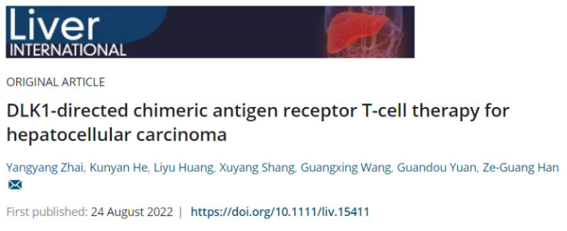 我院韩泽广团队发表靶向DLK1的嵌合抗原受体T细胞对肝细胞癌的治疗作用-22-8-26205.png