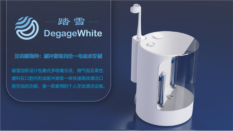 踏雪项目截图.png