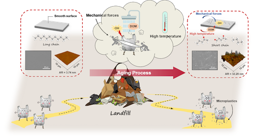 Graphical abstract.png