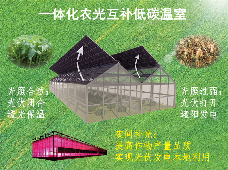 作品标志图.png