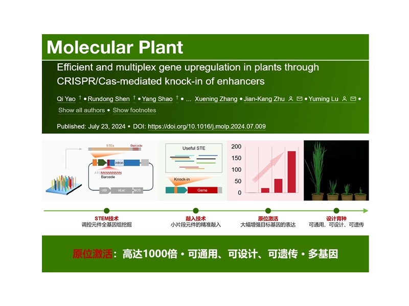 上海交大陆钰明课题组建立大幅增强基因表达的通用解决方案