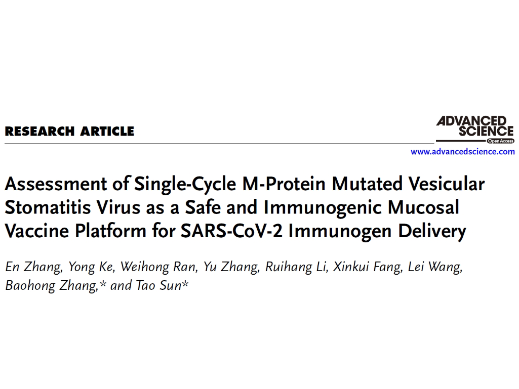 上海交大孙涛课题组建立以VSVMT为载体的非复制型SARS-CoV-2黏膜疫苗研制平台