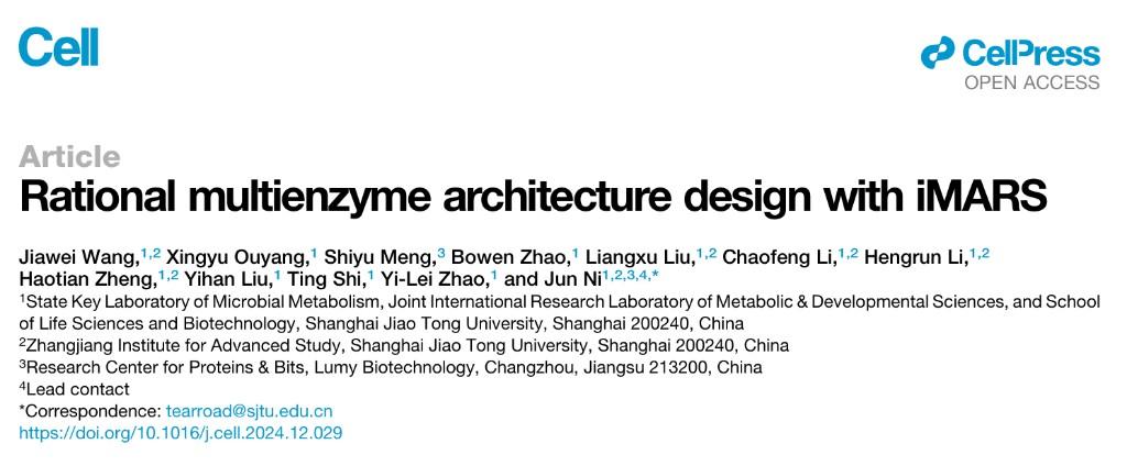 破译多酶空间 “密码”！上海交大团队解决合成生物难题