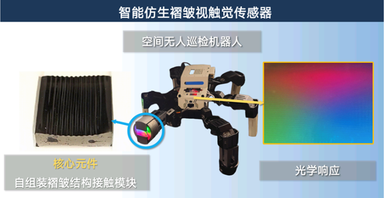 金奖.png