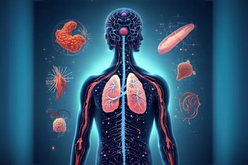 智启呼吸：AI赋能的呼吸系统教学革新
