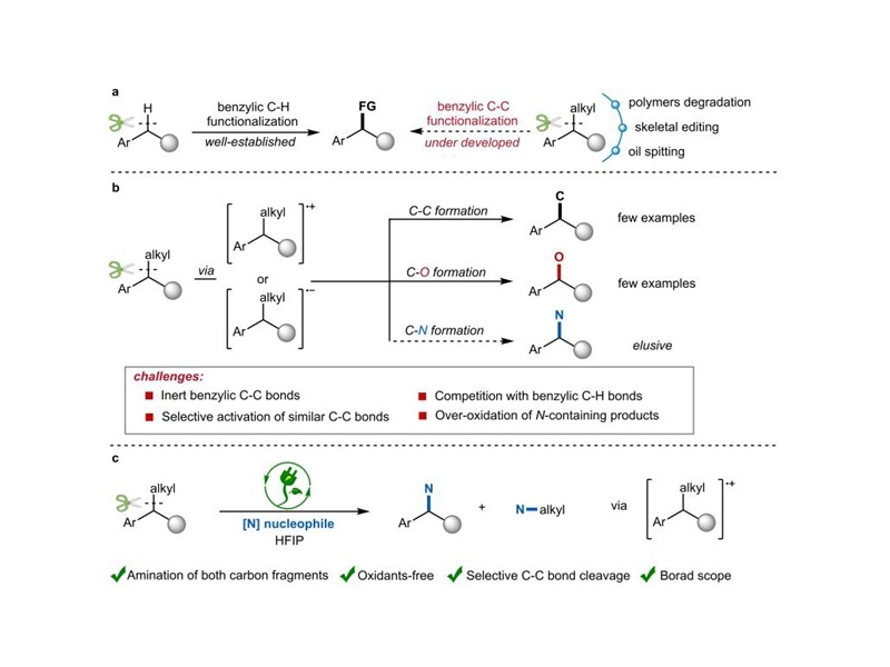 上海交大申涛团队实现芳香烃中苄位C(sp³)-C(sp³)键的电氧化胺化反应
