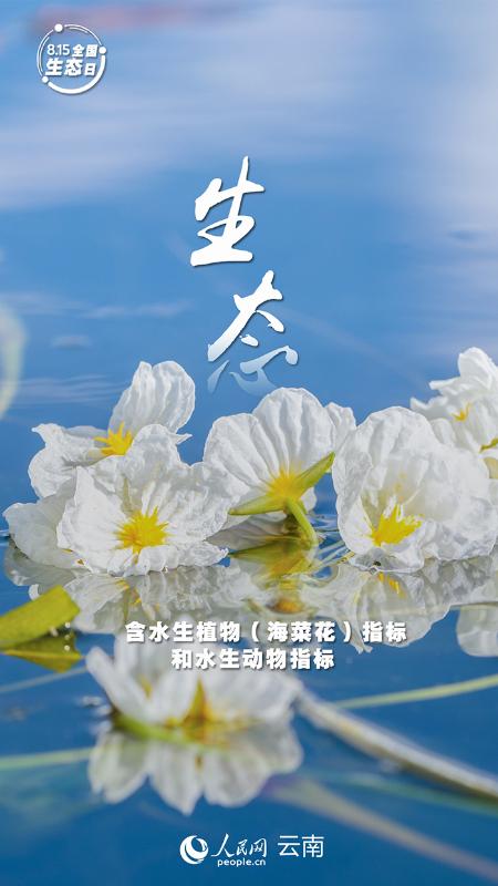 图6.jpg