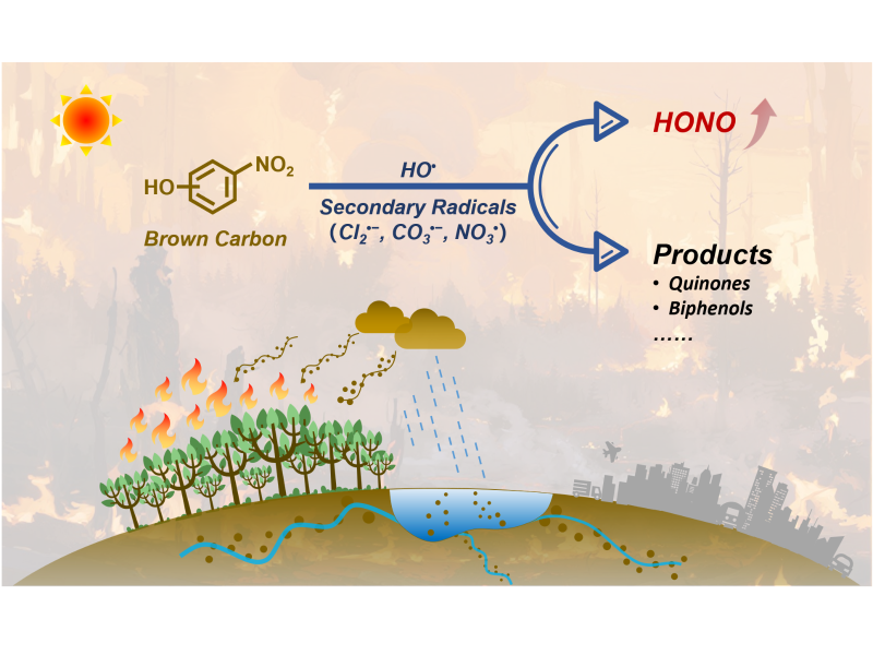 上海交大强志民团队发文揭示水中硝基酚与生物质燃烧棕碳的自由基化学机制
