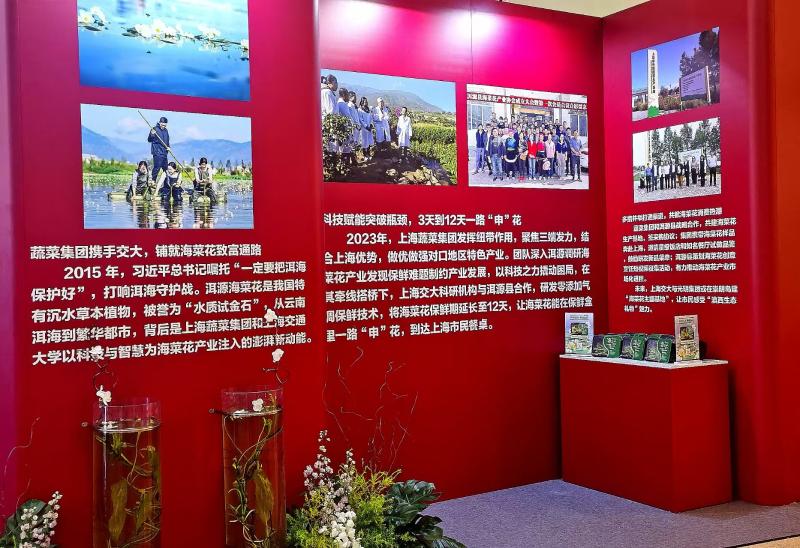 微信图片_2025-09-05_192450_706.jpg