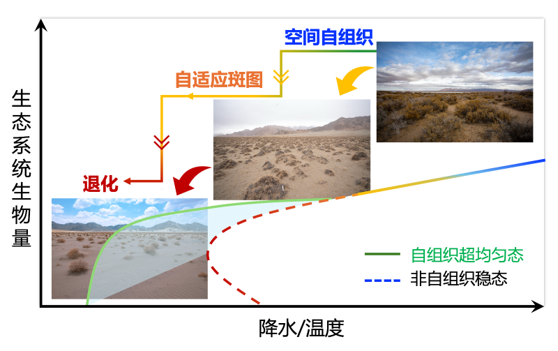 Figure1.png