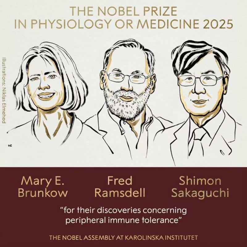这个诺奖迟到了30年！三位科学家揭示免疫系统如何避免“自相残杀”