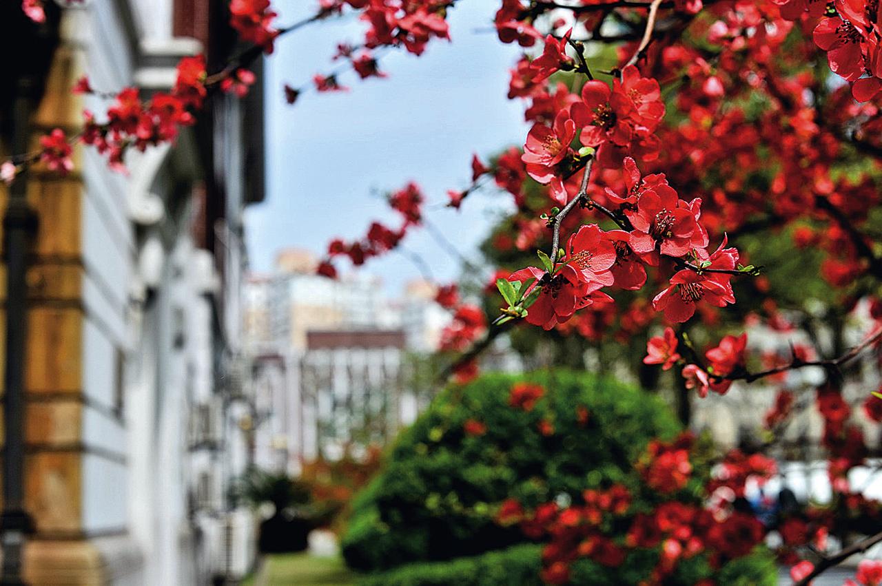 上海交通大学着力打造马克思主义理论研究和传播新范式