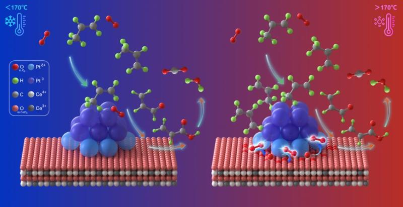 20251021_164649_657.jpg 20251021_164649_657.jpg