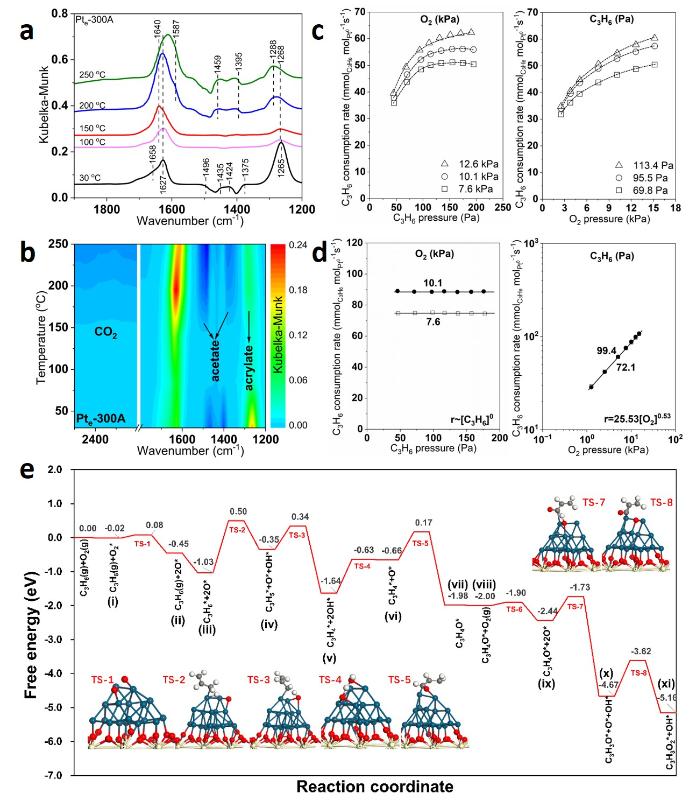 20251022_084422_937.jpg 微信图片_20251017103422_36_131.jpg