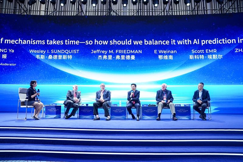 20251025_230031_816.jpg DSC02508_副本.jpg