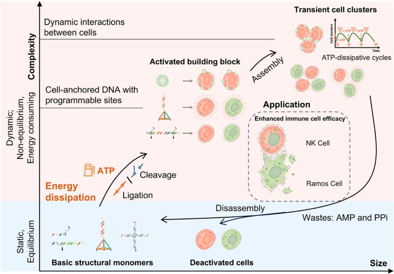 20251027_163834_215.jpg 111.jpg