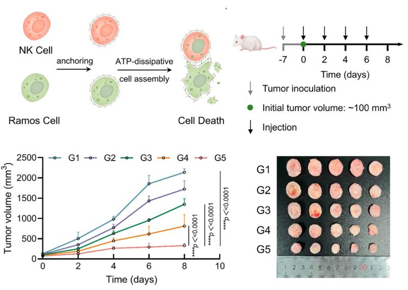 20251027_163845_355.jpg 222.jpg