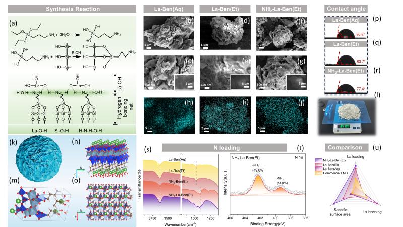 20251103_102944_710.jpg Fig.1.jpg