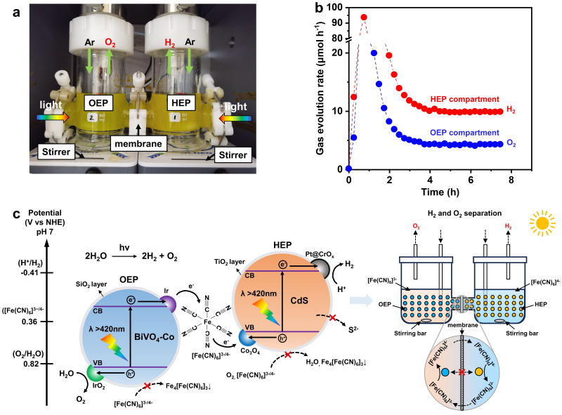 20251117_161453_751.png 江治2.png