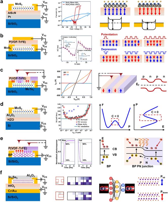 20251117_163053_608.jpg 钱小石3.jpg