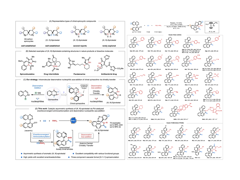 上海交大刘家旺/高申团队实现对映收敛的胺羰化串联分子内去芳构化氮杂加成反应合成手性螺环二胺
