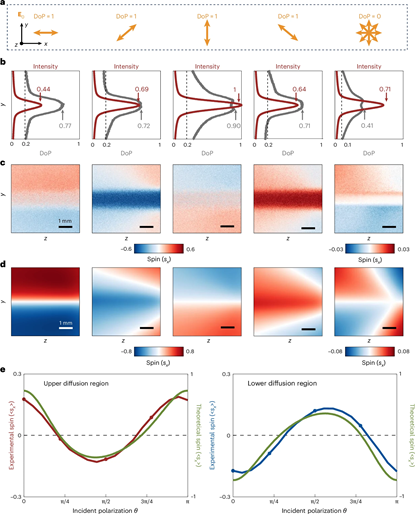 20251126_103329_262.png 图片12.png