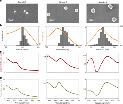 20251126_103351_475.png 图片13.png