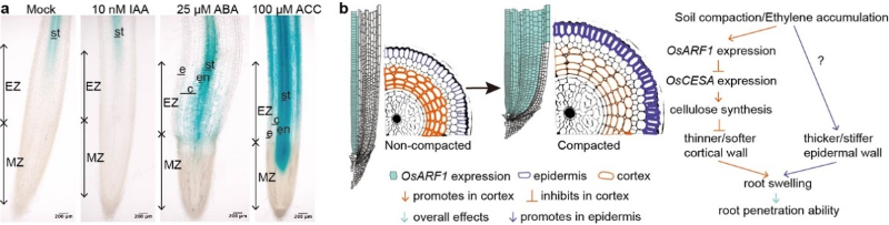 20251127_111327_711.png 图片14.png