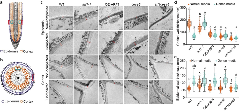 20251127_111405_960.png 图片15.png