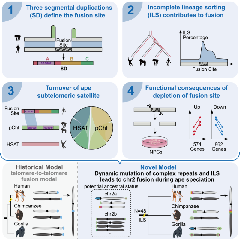 20251203_111040_632.png 20251203_111040_632.png