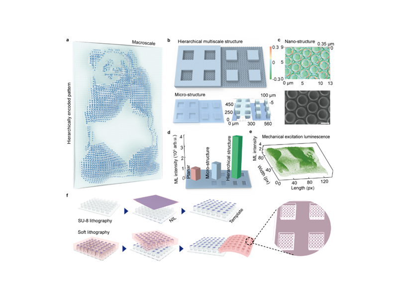 上海交大臧法珩及合作团队在柔性力学发光与可视化传感领域取得新进展