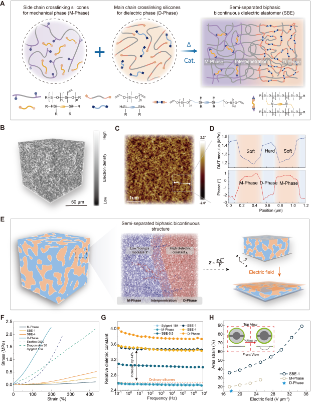 20251205_113232_812.png 图片1.png