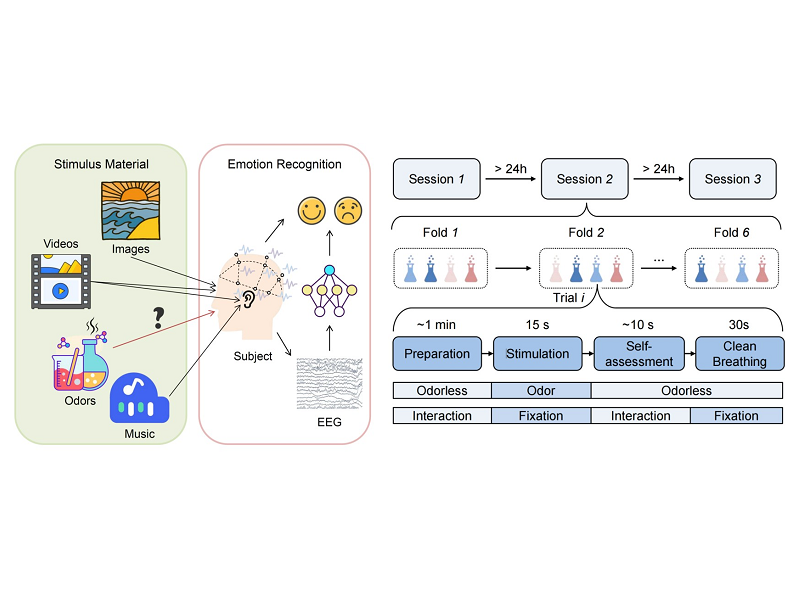 上海交大计算机学院吕宝粮和郑伟龙团队发布嗅觉刺激情绪脑电数据集SEED-OLF